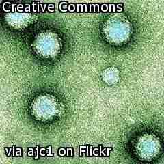 http://www.flickr.com/photos/ajc1/1257163357/