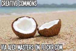 http://www.flickr.com/photos/alexmasters/500707342/