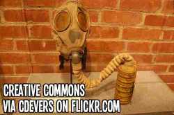 http://www.flickr.com/photos/cdevers/4456497252/