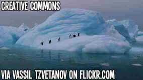 http://www.flickr.com/photos/vassil_tzvetanov/2272308142/