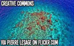 http://www.flickr.com/photos/tahitipix/2919160722