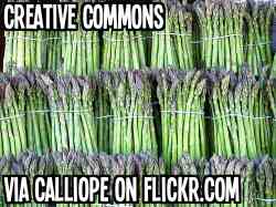 http://www.flickr.com/photos/calliope/9492921/