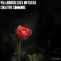 https://www.flickr.com/photos/lorenzoclick/8713889784/