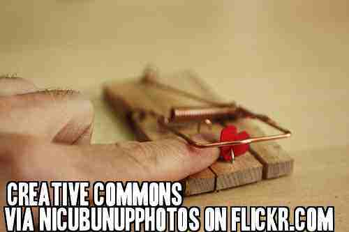 https://www.flickr.com/photos/nicubunuphotos/5265260921/