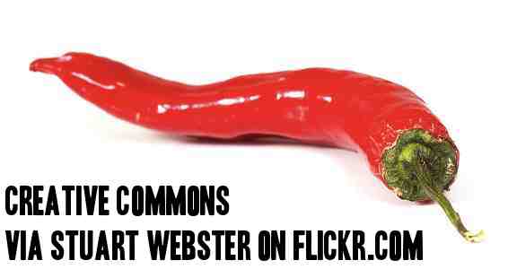 https://www.flickr.com/photos/stuartwebster/5653914212/