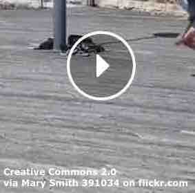 TikTok - ESL Lesson Plan - Breaking News English Lesson