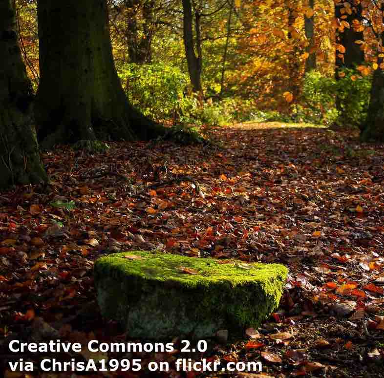 Breaking News English Word Pairs Nature