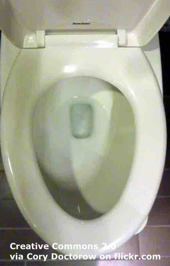 Closing toilet-seat lids may not stop spread of germs