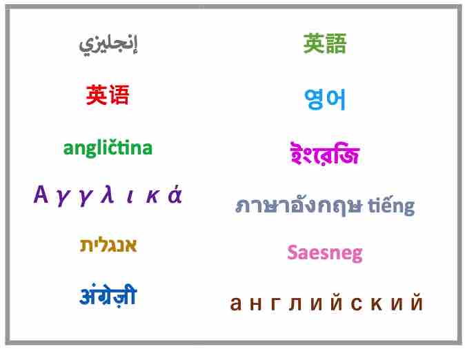 Breaking News English Dictation Translation